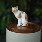 Handmade Pet Urn with Personalised Clay Figurine from Photo,  Ceramic Cat Ashes Jar with wood lid, Memorial Keepsake, Custom Cremation Gift