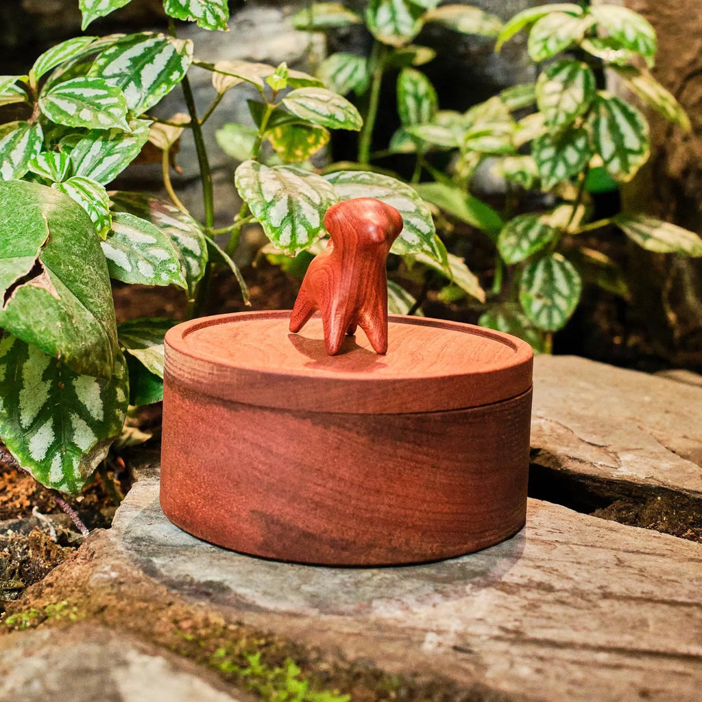Medium and Large Handmade Natural Wooden Pet Urn | Suitable for All Dog Breeds | Handmade Memorial Ashes Box for Dogs｜Pet Loss Keepsake Gift