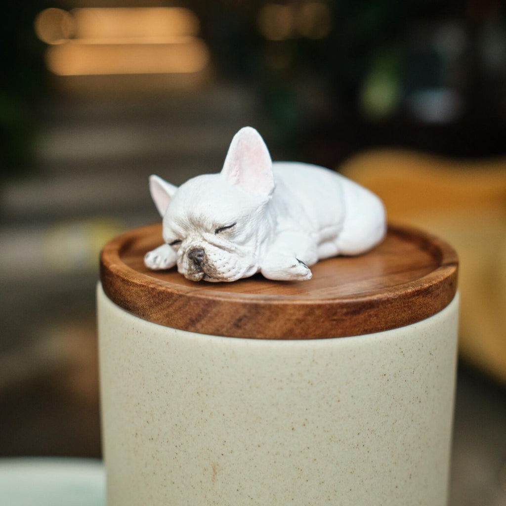 Handmade Ceramic Pet Urn with Clay Figurine from Photo, Personalised Dog Cat Ashes Jar, Memorial Keepsake, Custom Cremation Gift