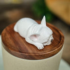 Handmade Ceramic Pet Urn with Clay Figurine from Photo, Personalised Dog Cat Ashes Jar, Memorial Keepsake, Custom Cremation Gift