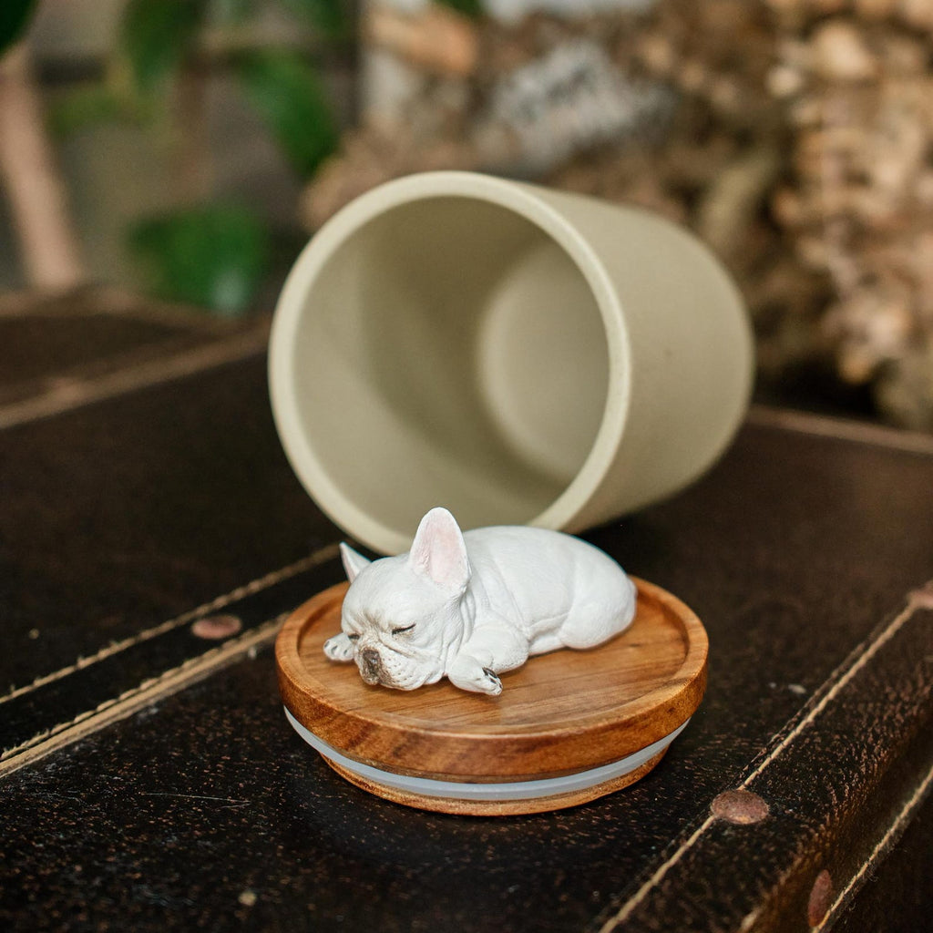 Handmade Ceramic Pet Urn with Clay Figurine from Photo, Personalised Dog Cat Ashes Jar, Memorial Keepsake, Custom Cremation Gift