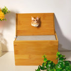 Handcrafted Bamboo Cat Memorial Urn with Realistic Plaster Head from photo, Personalised Pet Ashes Keepsake Box, Eco Friendly Cat Loss Gift