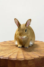 Handmade Wooden Rabbit Memorial Urn: Realistic Bunny Keepsake Box from Photo, Pet Memorial Gift, Pet Personalised Keepsake, Jewellery Box