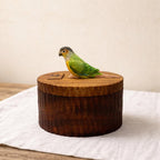 Handmade Wooden Bird Memorial Urn: Custom Parrot Figurine from Photo, Pet Memorial Gift, Laser Engraving, Eco-Friendly Gift
