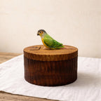 Handmade Wooden Bird Memorial Urn: Custom Parrot Figurine from Photo, Pet Memorial Gift, Laser Engraving, Eco-Friendly Gift