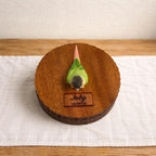 Handmade Wooden Bird Memorial Urn: Custom Parrot Figurine from Photo, Pet Memorial Gift, Laser Engraving, Eco-Friendly Gift