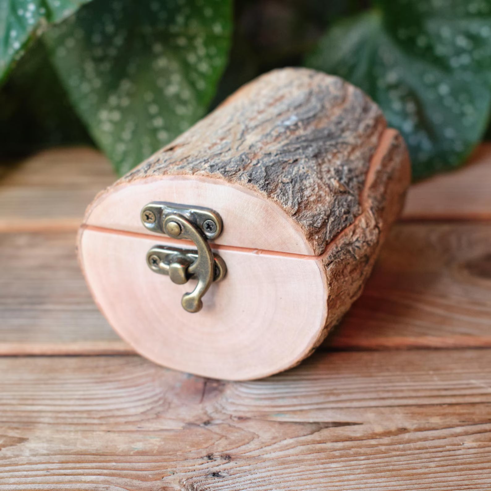 Natural Bark Wood Keepsake Box, Small Pet Urn, Eco Friendly Mini Memorial Box, Wooden Ashes Holder, Jewellery Box, Rustic Woodland Decor