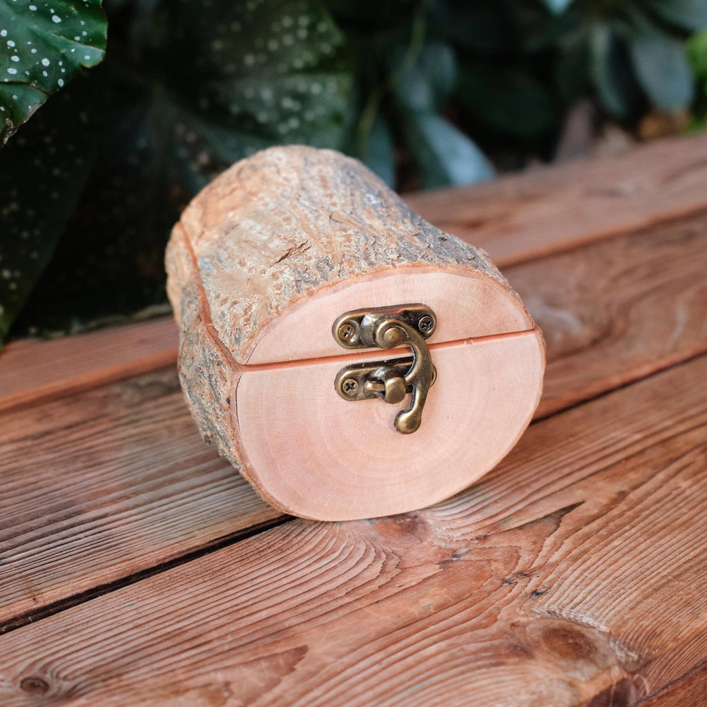 Natural Bark Wood Keepsake Box, Small Pet Urn, Eco Friendly Mini Memorial Box, Wooden Ashes Holder, Jewellery Box, Rustic Woodland Decor