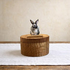 Lying Rabbit Wooden Urn, Hand Carved Bunny in Resting Pose with Laser Engraved Name, Small Handmade Pet Memorial Cremation Box, Pet Keepsake