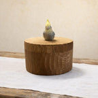Handmade Wooden Bird Memorial Urn: Custom Parrot Figurine from Photo, Pet Memorial Gift, Laser Engraving, Eco-Friendly Gift