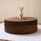 Bespoke Small Wooden Dog Urn, Handmade Carved Box with Personalised Dog Figurine From Photo, Eco Friendly Keepsake Gift
