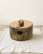 Rustic Tree Stump Rabbit Urn, Realistic Bunny Wood Carving, Natural Wood Pet Memorial Gifts, Organic Woodland Ashes Keepsake Box