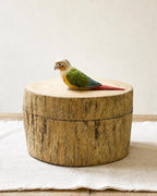 Custom Parrot Wood Carving From Photo, Rustic Tree Trunk Pet Memorial Urn Box, Personalised Engraved Wooden Keepsake, Bird Loss Gift