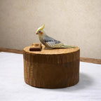 Custom Parrot Wood Carving From Photo, Rustic Tree Trunk Pet Memorial Urn Box, Personalised Engraved Wooden Keepsake, Bird Loss Gift