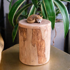 Large Wooden Dog Urn with Hand Carved Pet Figurine from Photo, Natural Wood Bucket, Pet Memorial Urn for Ashes with Personalised Engraving