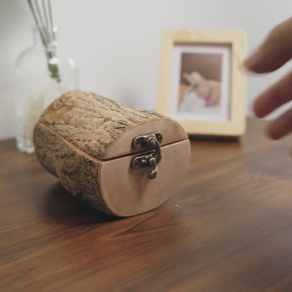 Natural Bark Wood Keepsake Box, Small Pet Urn, Eco Friendly Mini Memorial Box, Wooden Ashes Holder, Jewellery Box, Rustic Woodland Decor