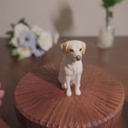 Custom Dog Pose Wooden Urn with Hand Carved Figurine, Small & Large Pet Memorial Urn, Personalised Natural Wood Ashes Box