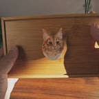 Handcrafted Bamboo Cat Memorial Urn with Realistic Plaster Head from photo, Personalised Pet Ashes Keepsake Box, Eco Friendly Cat Loss Gift
